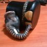 Elephant cup Image 6