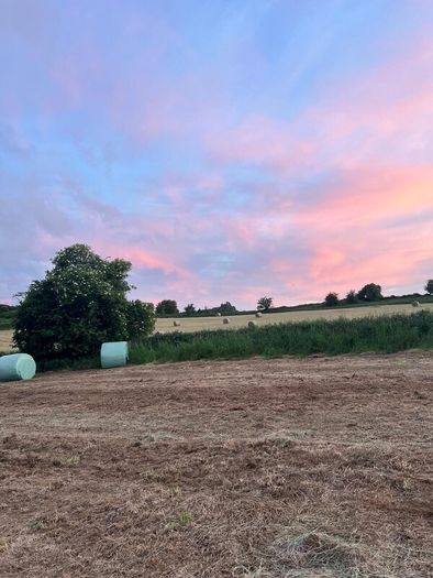 42 Bales of Haylage, Not chopped, good for horses