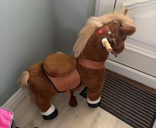 Small pony cycle