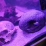 Juwel Vision Tank + Stand 260 Litres Image 4
