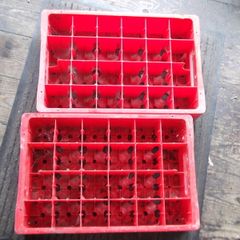 2 vintage coca cola crates