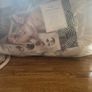 baby delux plus Image 2