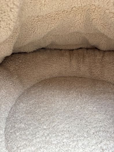 dog bed