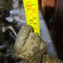 Antique Sculpture a gilt-bronze cast-metal Spanish Conquistador. On his torso is a Cross Pattee, a historical motif commonly associated with Christian military orders and medieval heraldry Image 10