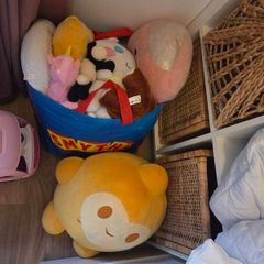 Kids Toys