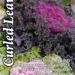 (C) Ornamental Cabbage Curled Leaved seeds 0.3g (124664)