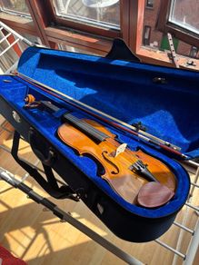 Stentor Student 1 Violin