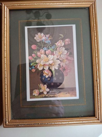 Art  - Coloured Prints X 5
