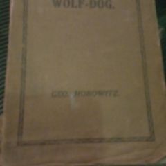 The Alsatian Wolf Dog