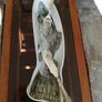 Highland Stoneware Scotland Salmon Dish Image 4