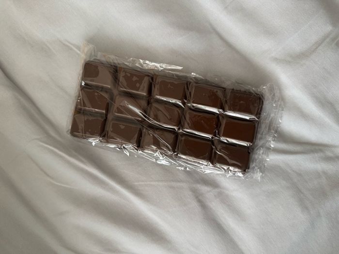 X2 chocolate bar squishy