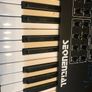 Prophet Rev 2 8/16 Polyphonic Synthesizer Image 6