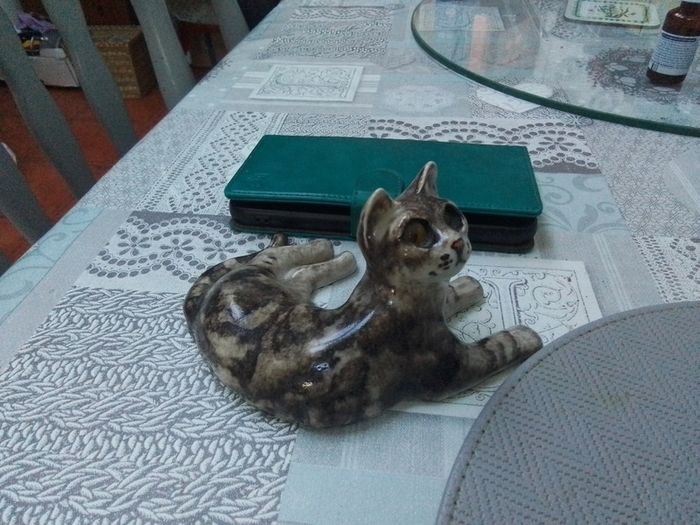 Another pair of cats