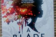 A blade so black.  L.L. McKinney
