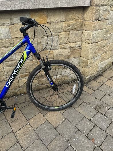1 adult bike