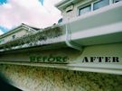 Gutter Cleaning. Window Cleaning. Roof Cleaning Image 3