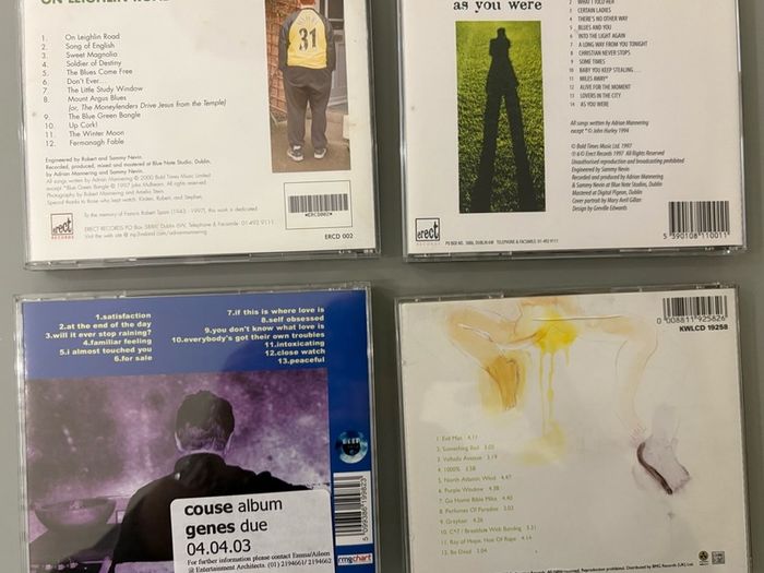 Adrian Mannering, The Fatima Mansions, Dave Couse. Four CDs by Irish indie artists for sale at five euro each.