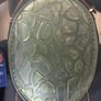 Hard shell turtle back knee pads Image 2