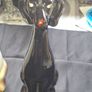 3 Porcelain Dogs for sale as a lot, Postage Available Image 4
