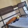 bunk Image 3