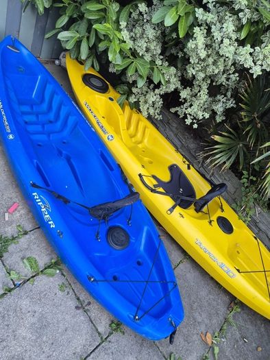 kayaks