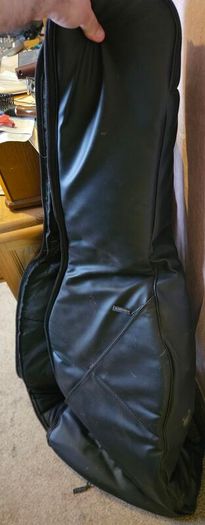 acoustic bass