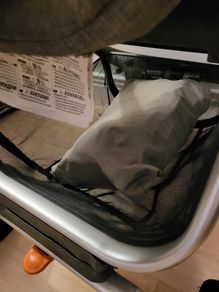 stokke pram