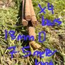 Selection of Rebar available. See photos Image 4