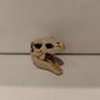Lego Jurassic World T Rex Skull Part from 76940 Image 2