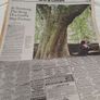 The New York Times 22 July 2001 Image 4