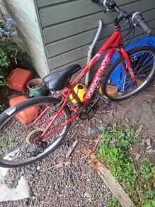 free bike