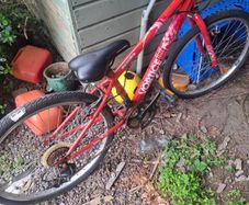 free bike