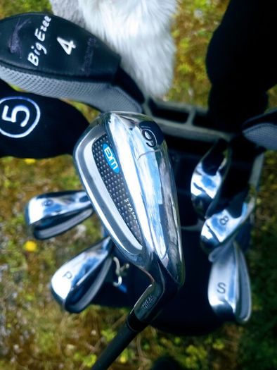 Set of Ladies Golf Clubs