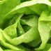funkylettuce