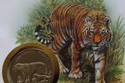 Siberian Tiger Russia 1993 WWF coin stamp cover