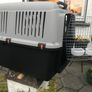 Domestic pet Bracco transport 5 Image 4