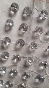 BUTTONS - c.1940s - Austria - US Zone