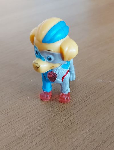 Paw patrol Tuck
