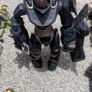 halo McFarlane lot Image 9