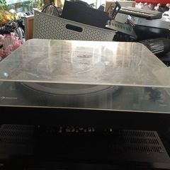 auna turntable