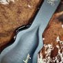 Epiphone Slash Victoria Les Paul Goldtop Image 7