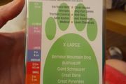 dog boots