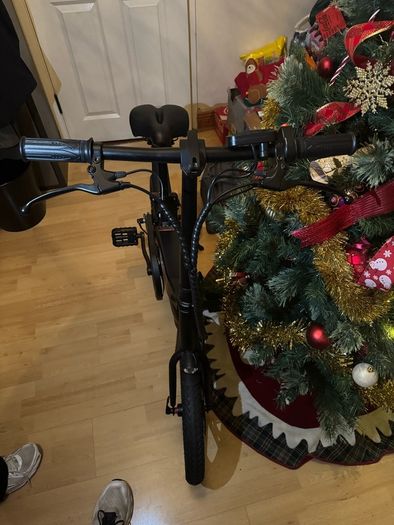 RKS Electric Bike
