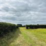 Hege Cutting and Flail Shredding Kildare Image 5
