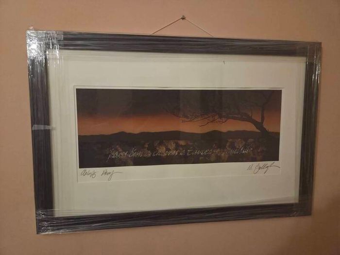 Robert Ballagh - Land and Language 2001