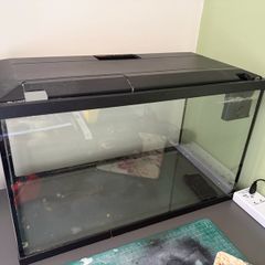 13 litre fish tank