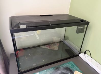 13 litre fish tank