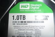 Wd Hdd 1 Tb