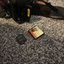 Nikon D800 Image 9