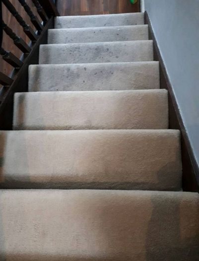 Upholstery Cleaning - Sofa & Couch Cleaners